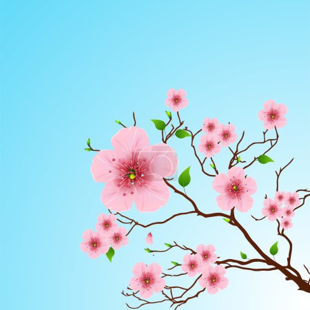 Floral Spring background