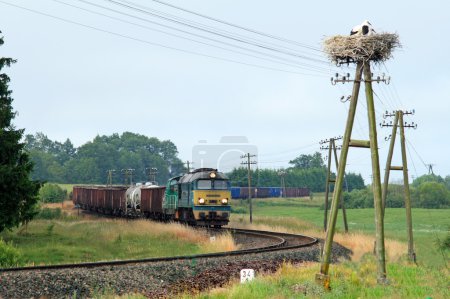 Rural landscape with freight train
