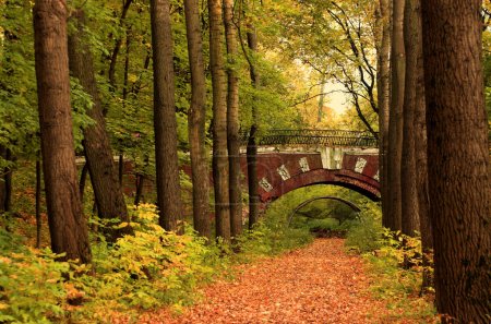 Brick bridge in the autumn forest