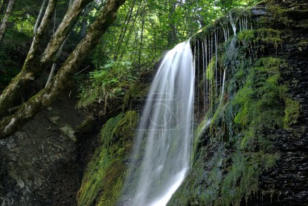 Ostrowskich waterfall