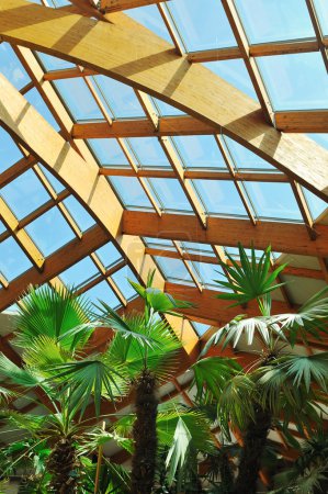 Palm and wooden roof construction