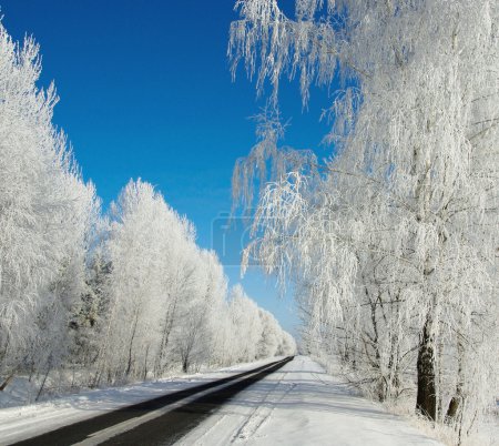 Winter landscape with road