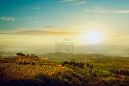 Traditional villa in Tuscany, famous vineyard in Italy
