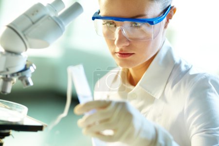 Biochemist  studying chemical substance