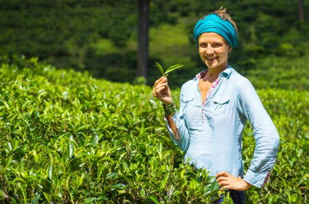 Beautiful woman in the tea plantation