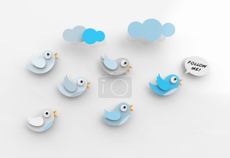 Tweeting birds and followers