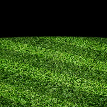 Sport lined grass field