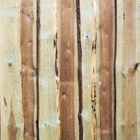 Wooden board wall