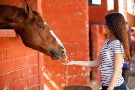 Girl feeding her horse carrots in a stable
