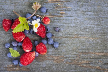 Berries on wood background