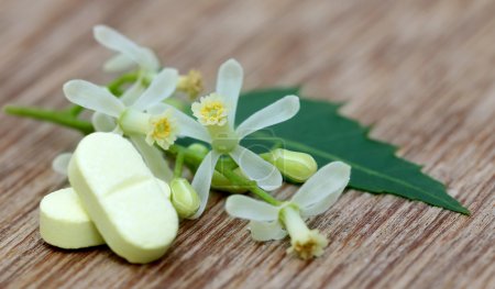 Pills from medicinal neem