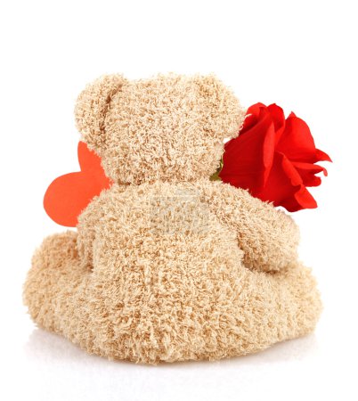 Teddy bear for Valentine day