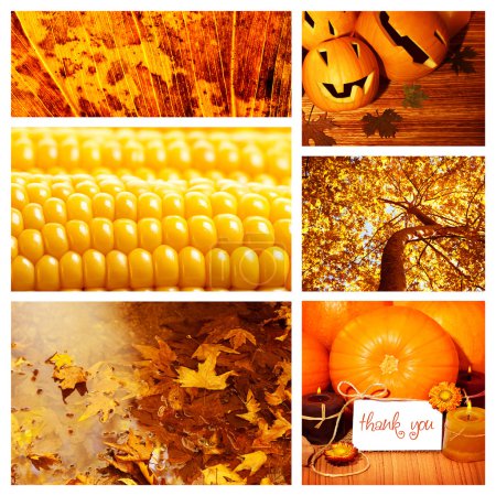 Autumn season collage
