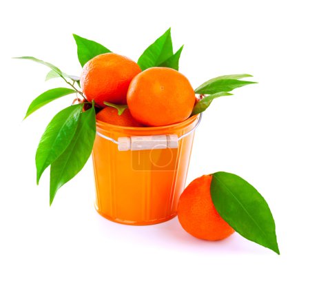 Bucket of fresh mandarins