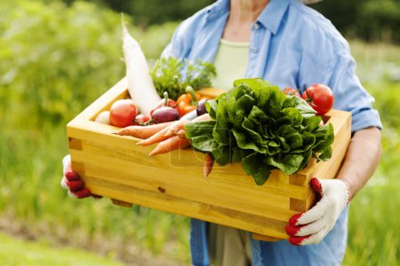 Senior woman holding box with vegetable