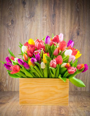 Tulips in the box on wooden background