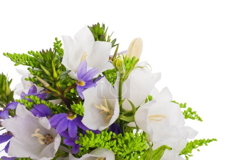 Bouquet of white and blue bells on a white background