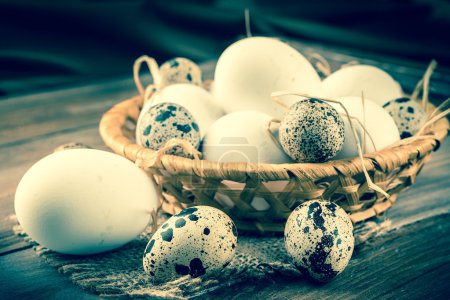 Quail and chicken eggs