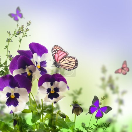 Blue spring violets