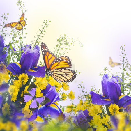 Blue irises with yellow daisies with butterflies