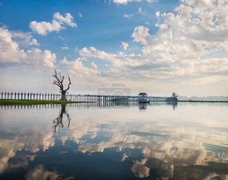 Lonely tree on a lake in Myanmar