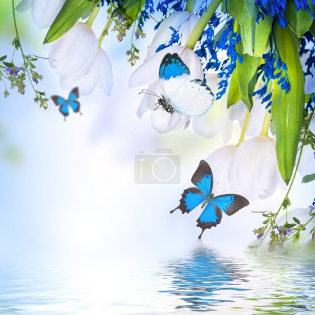 White tulips with blue grass and butterfly