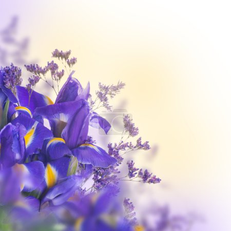 Blue irises with yellow daisies