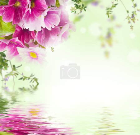 A spring primrose is in a bouquet, floral background and butterfly