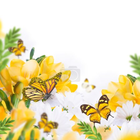 Primroses and butterflies