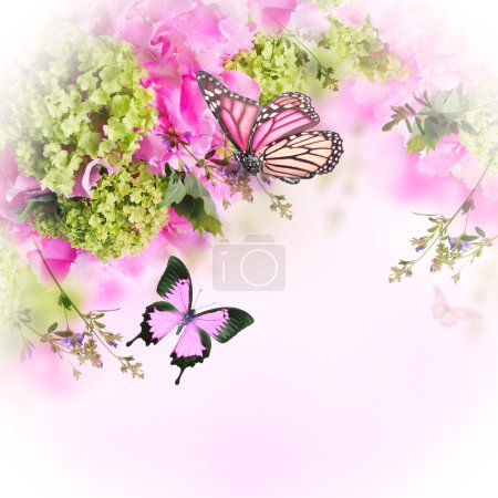 Chrysanthemum and butterflies