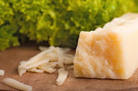 Hard cheese parmesan on a wooden board on a background lettuce of lolo rosso