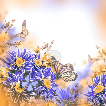 Spring chrysanthemum with butterflies on blue