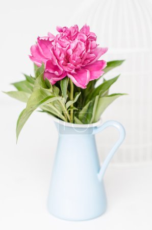 Pink flowers in a vase