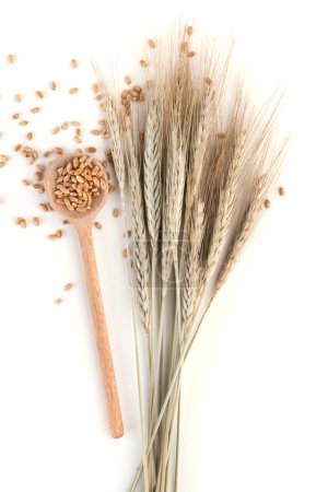 Wheat in a wooden spoon