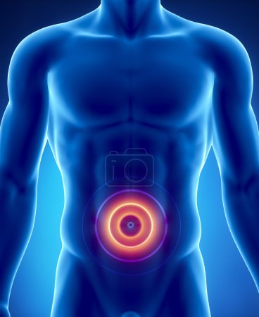 Pain in abdominal organs concept