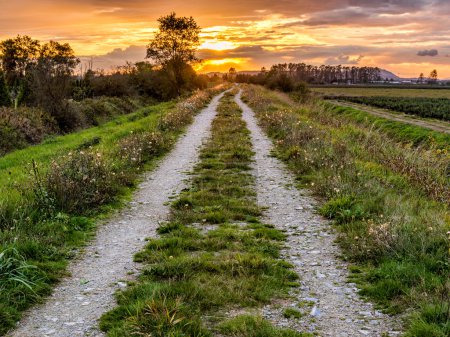 Dirt Road Path Leading to Sunset