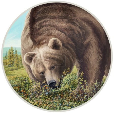 Illustration of a bear