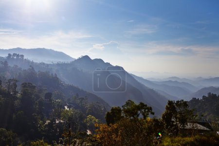 The mountains  in Sri Lanka 