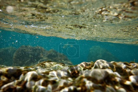 underwater rock background