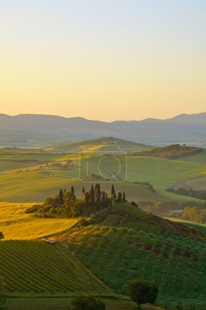 Countryside, San Quirico d'Orcia , Tuscany, Italy