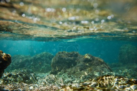 underwater rock background