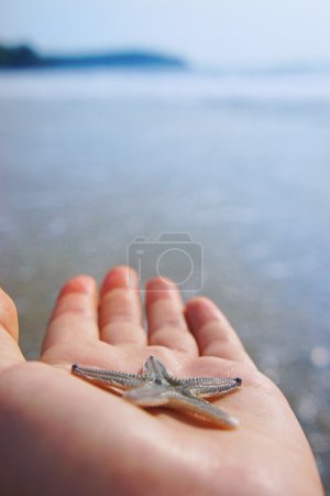 Hand holding starfish