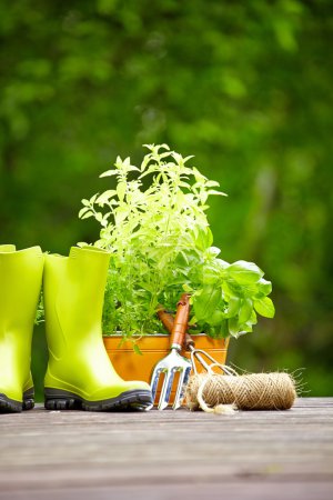 Fresh herbs in wooden box with garden tools on terrace