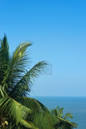 Exotic, beautiful and secluded beach with palm trees in the fore