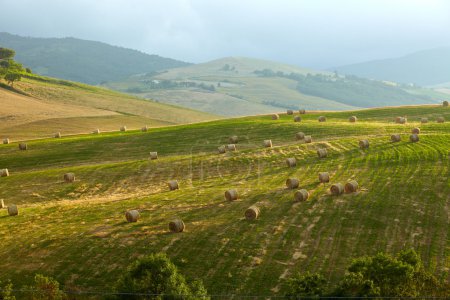 landscape in Tuscany region of Italy