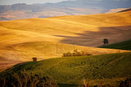 view of Tuscany landscape