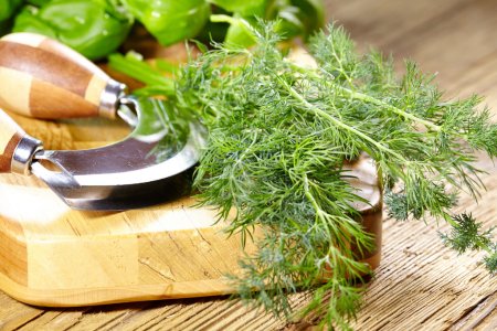 herbs and a knife on a cutting board 