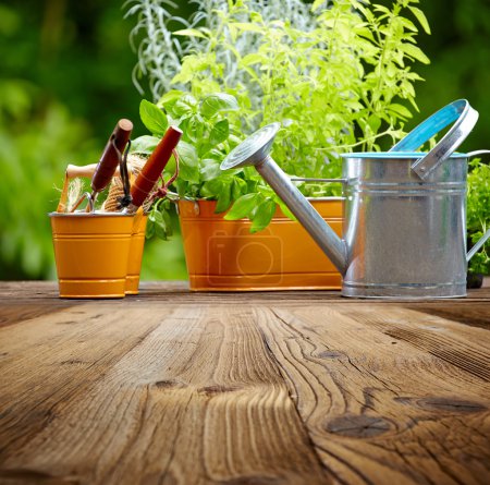 Outdoor gardening tools on old wood table