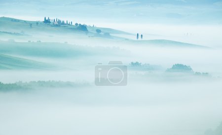 Tuscan fog