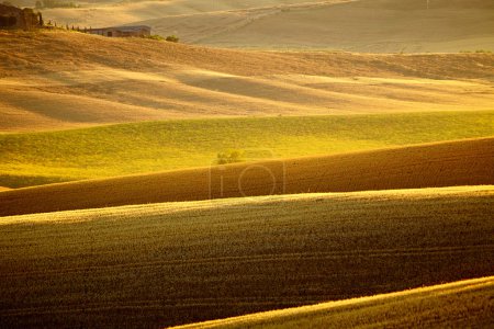 Rural countryside landscape in Tuscany region of Italy